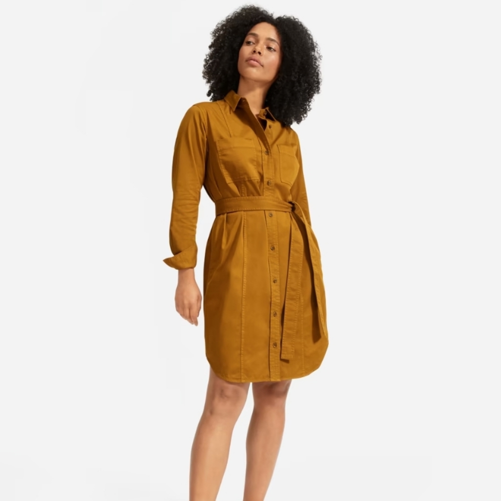 Everlane The Modern Utility Shirtdress